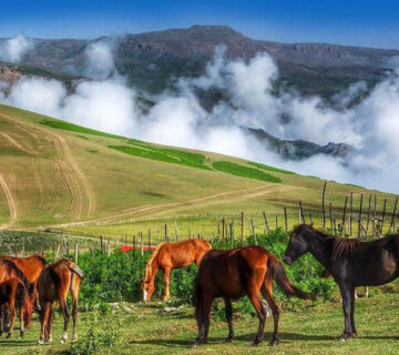 چرا ایران مقصدی ایده‌آل برای طبیعت‌گردی است؟