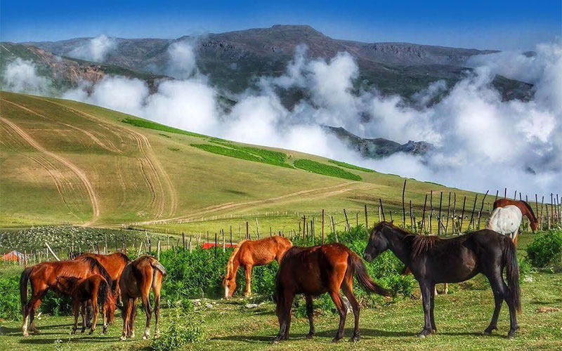 چرا ایران مقصدی ایده‌آل برای طبیعت‌گردی است؟