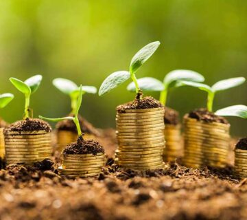 نقش دولت در توسعه گردشگری پایدار