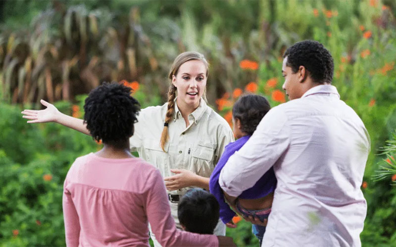 تورلیدر: نه یک راه بلد ساده، که یک داستان‌سرای دلنشین