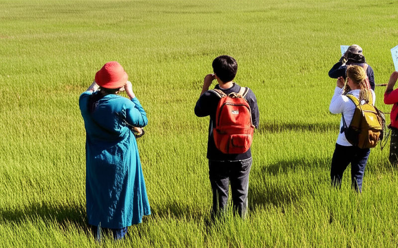 حفاظت از محیط زیست؛ پاسداری از طبیعت بکر ایران